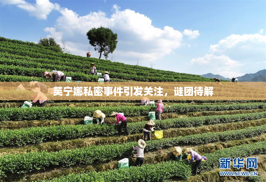 芙宁娜私密事件引发关注，谜团待解