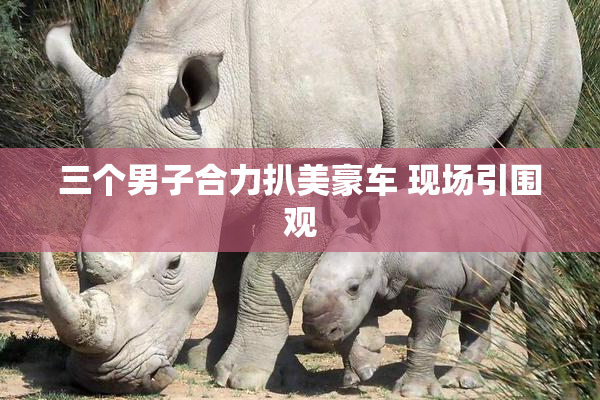 三个男子合力扒美豪车 现场引围观