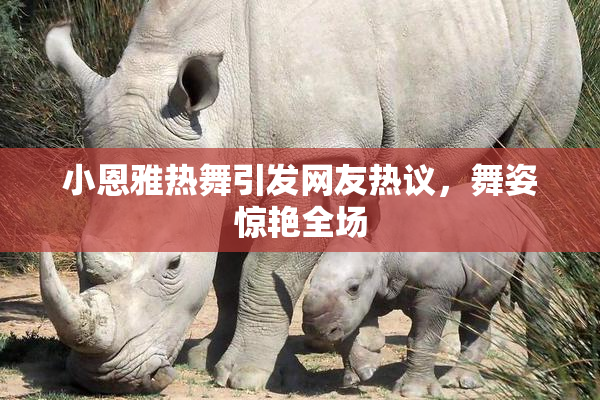 小恩雅热舞引发网友热议，舞姿惊艳全场
