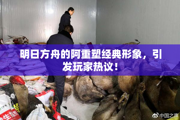 明日方舟的阿重塑经典形象，引发玩家热议！
