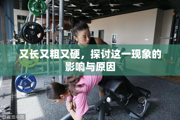 又长又粗又硬，探讨这一现象的影响与原因