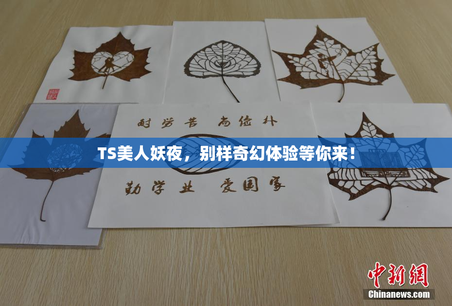 TS美人妖夜，别样奇幻体验等你来！