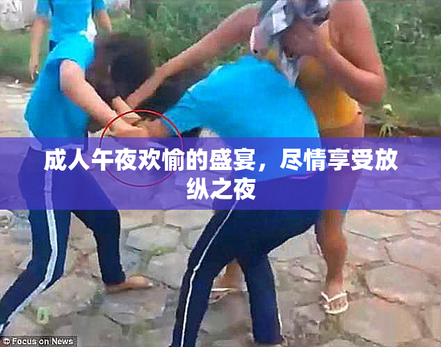 成人午夜欢愉的盛宴，尽情享受放纵之夜