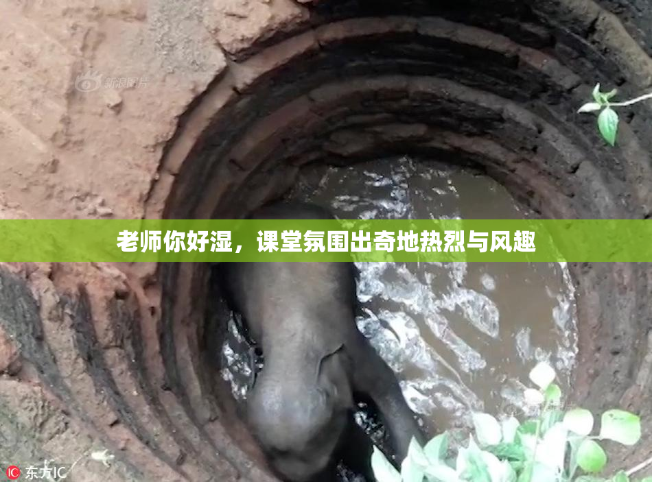老师你好湿，课堂氛围出奇地热烈与风趣