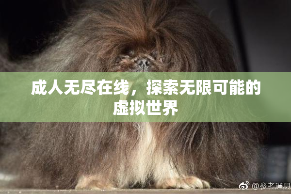 成人无尽在线，探索无限可能的虚拟世界