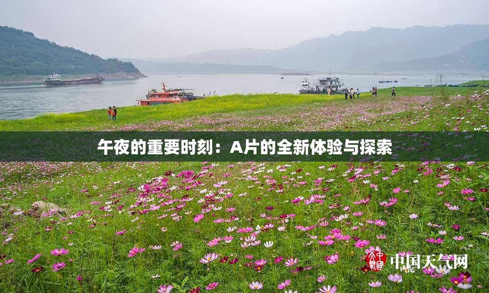 午夜的重要时刻：A片的全新体验与探索