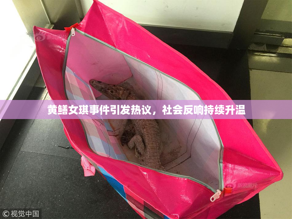 黄鳝女琪事件引发热议，社会反响持续升温