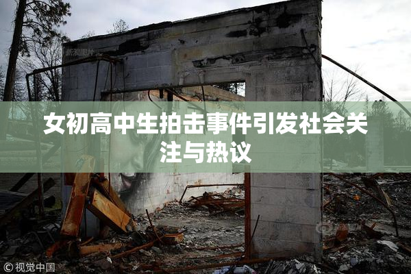 女初高中生拍击事件引发社会关注与热议