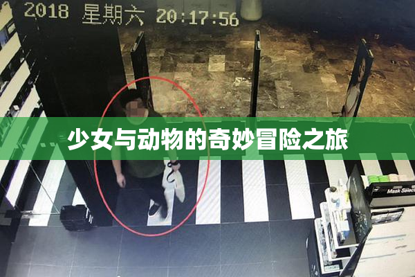 少女与动物的奇妙冒险之旅