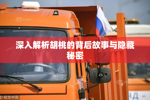 深入解析胡桃的背后故事与隐藏秘密