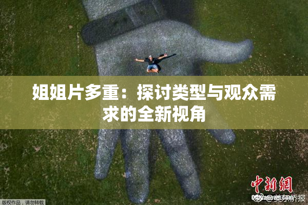 姐姐片多重：探讨类型与观众需求的全新视角