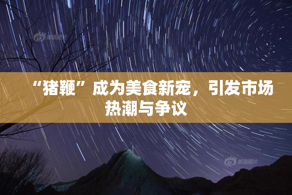“猪鞭”成为美食新宠，引发市场热潮与争议