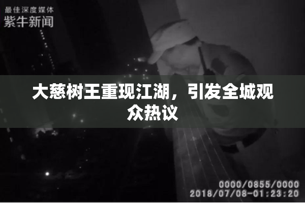 大慈树王重现江湖，引发全城观众热议