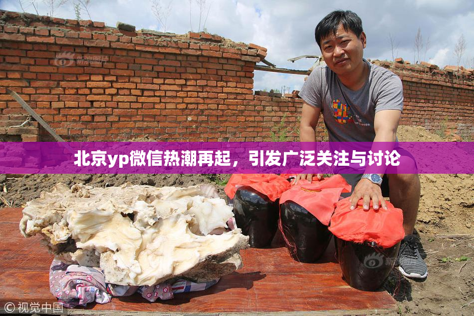 北京yp微信热潮再起，引发广泛关注与讨论