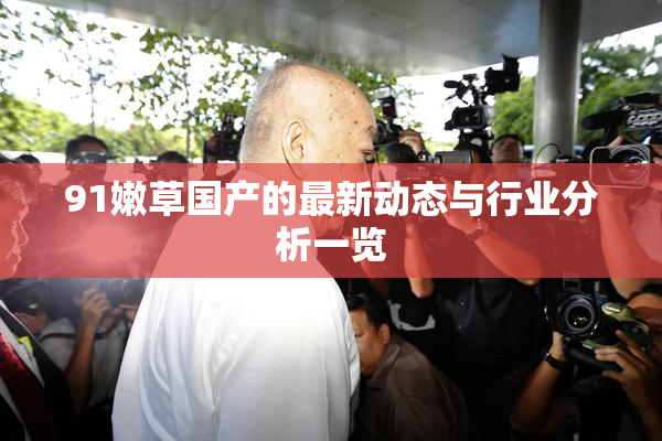 91嫩草国产的最新动态与行业分析一览