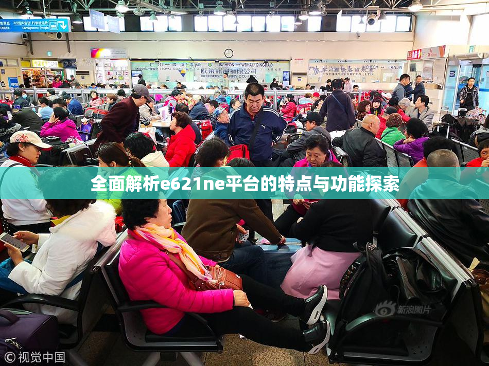 全面解析e621ne平台的特点与功能探索