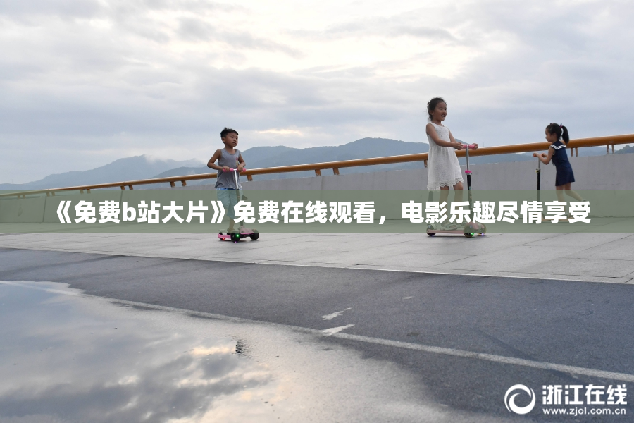 《免费b站大片》免费在线观看，电影乐趣尽情享受