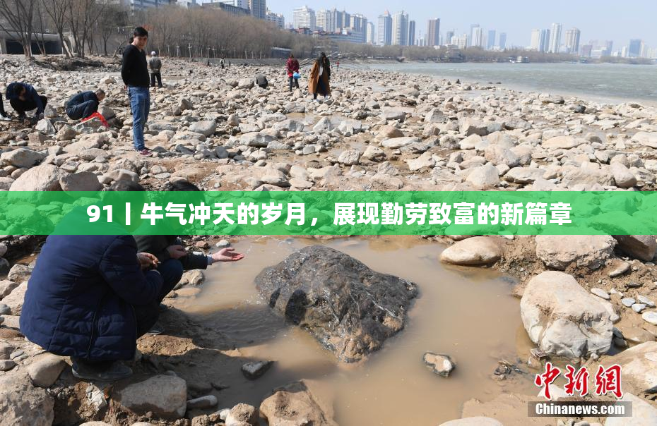 91丨牛气冲天的岁月，展现勤劳致富的新篇章