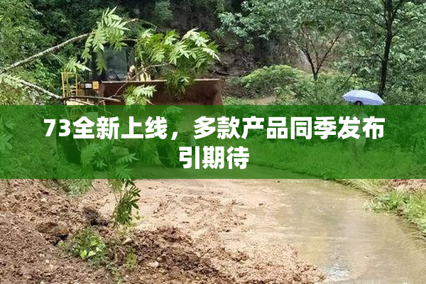 73全新上线，多款产品同季发布引期待