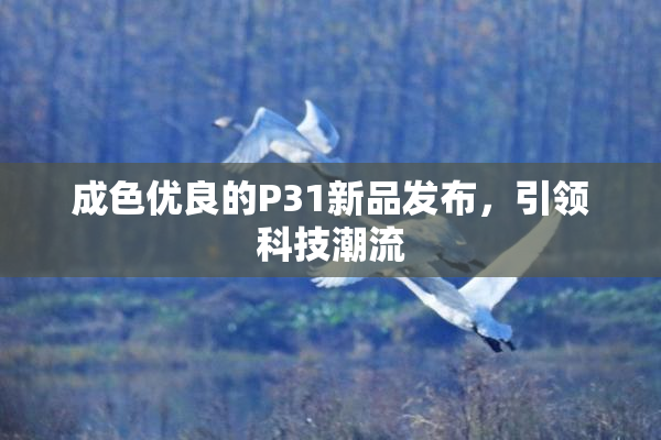 成色优良的P31新品发布，引领科技潮流