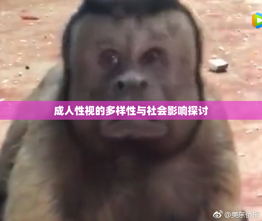 成人性视的多样性与社会影响探讨