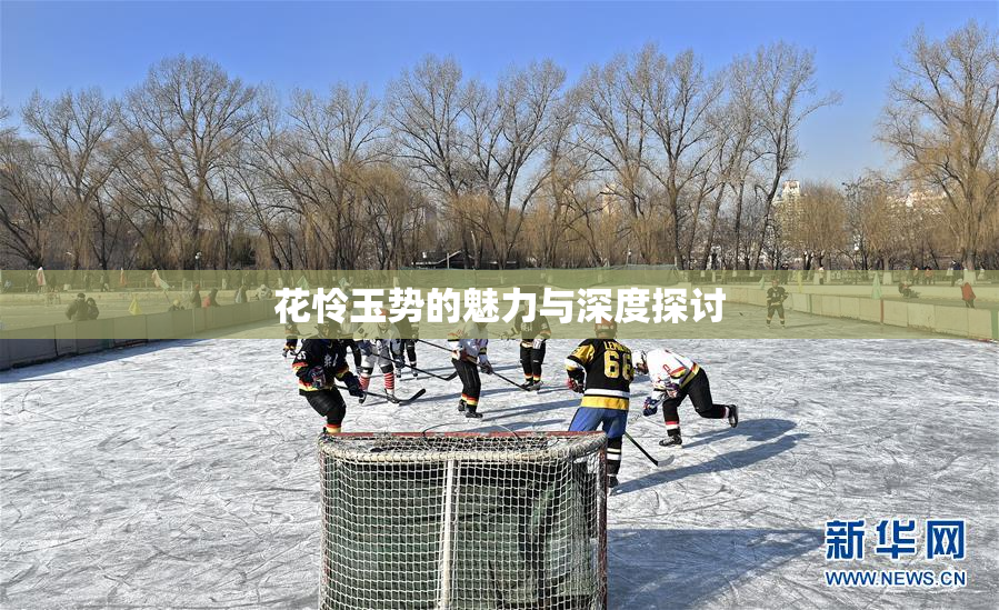 花怜玉势的魅力与深度探讨