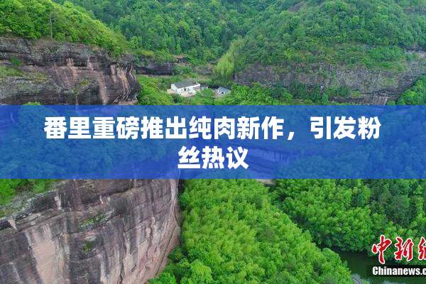 番里重磅推出纯肉新作，引发粉丝热议
