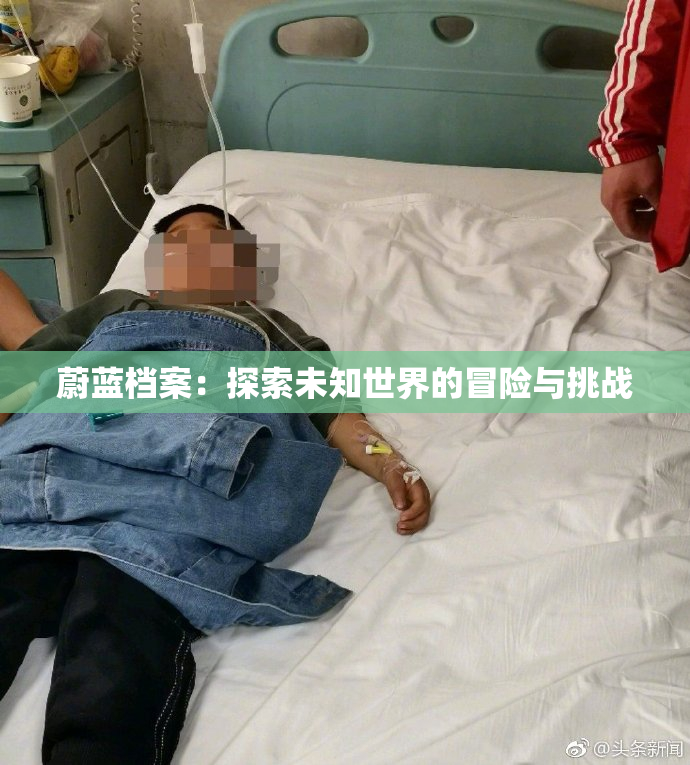 蔚蓝档案：探索未知世界的冒险与挑战