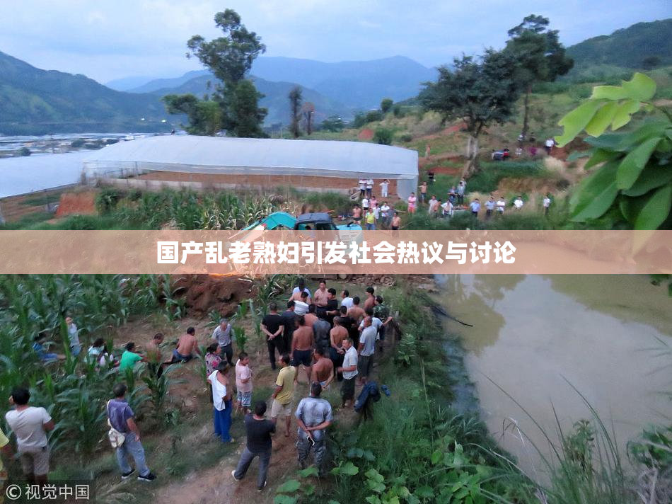 国产乱老熟妇引发社会热议与讨论