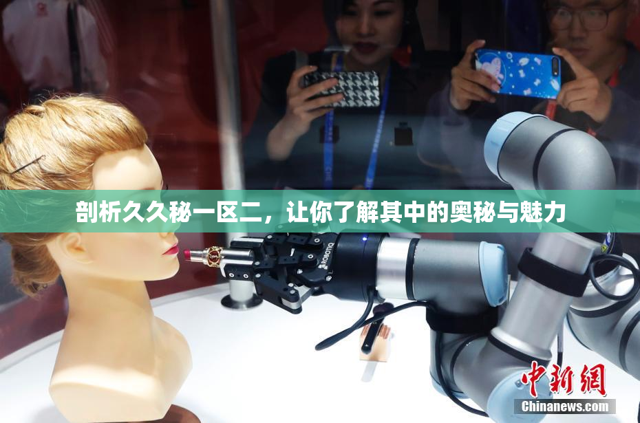剖析久久秘一区二，让你了解其中的奥秘与魅力