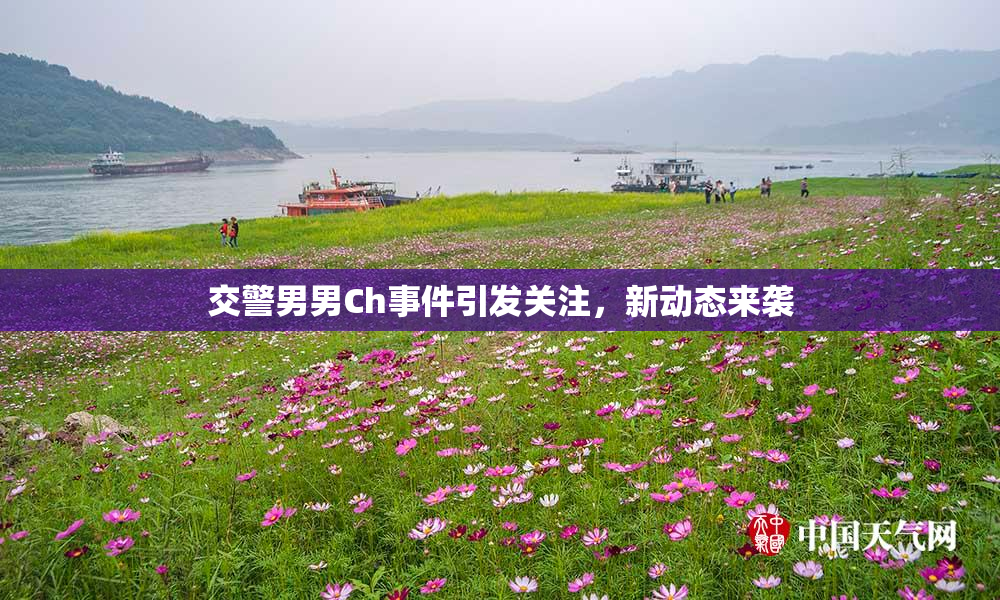 交警男男Ch事件引发关注，新动态来袭