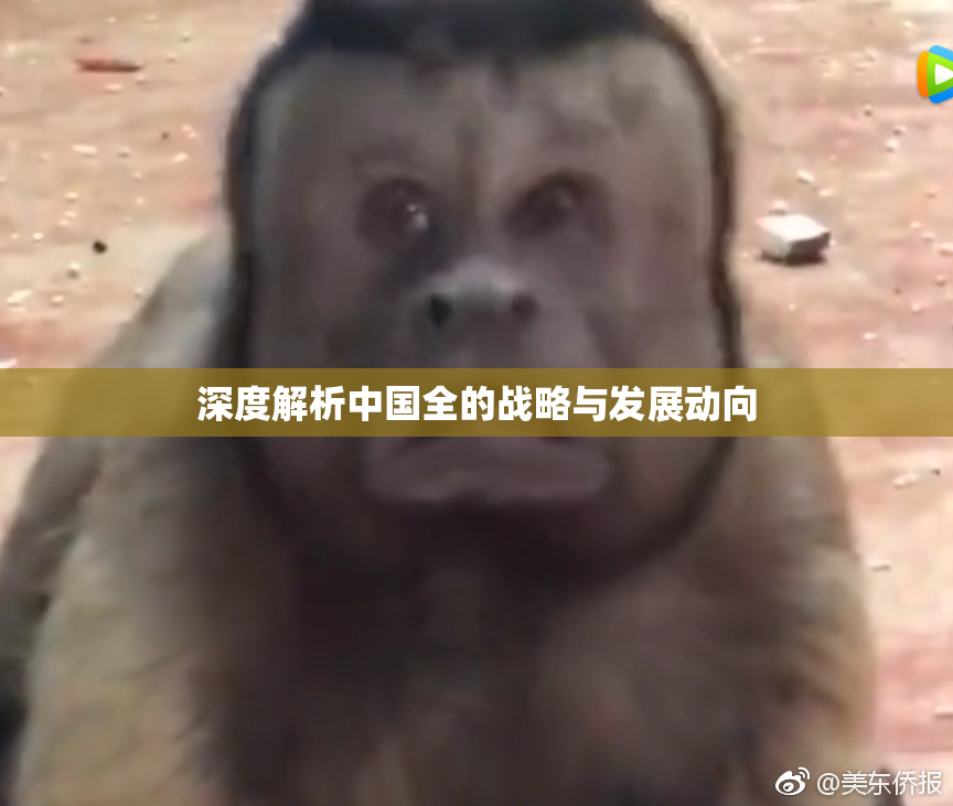 深度解析中国全的战略与发展动向