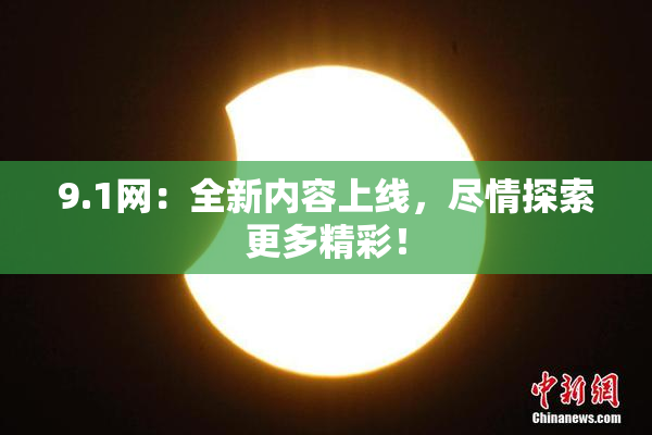 9.1网：全新内容上线，尽情探索更多精彩！
