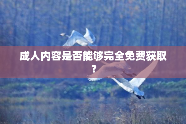 成人内容是否能够完全免费获取？