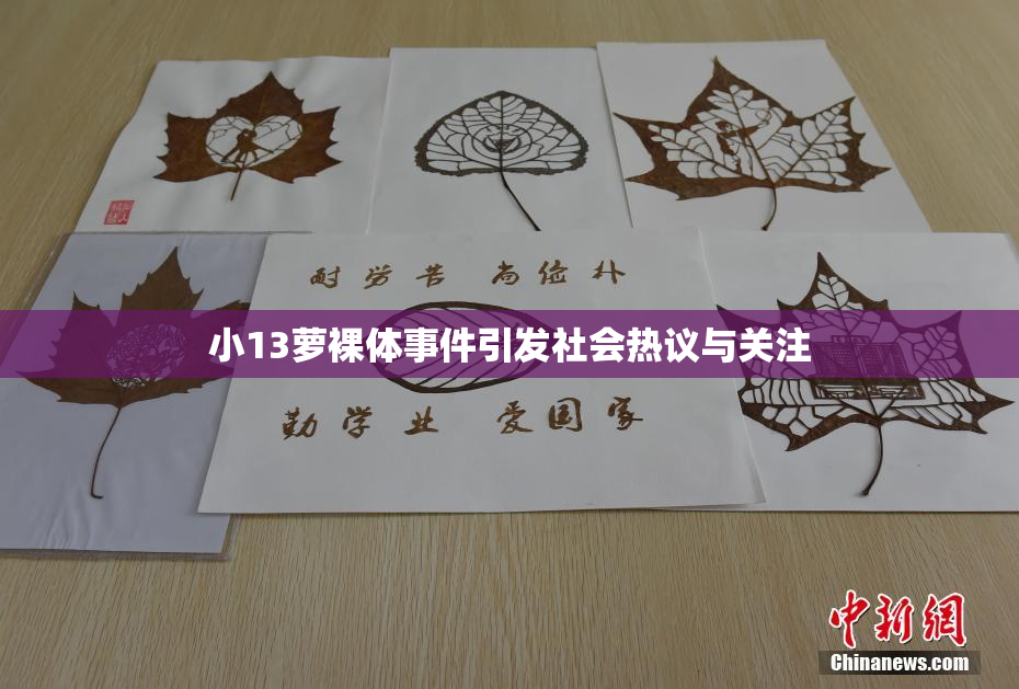 小13萝裸体事件引发社会热议与关注