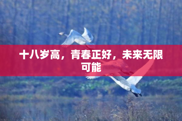 十八岁高，青春正好，未来无限可能