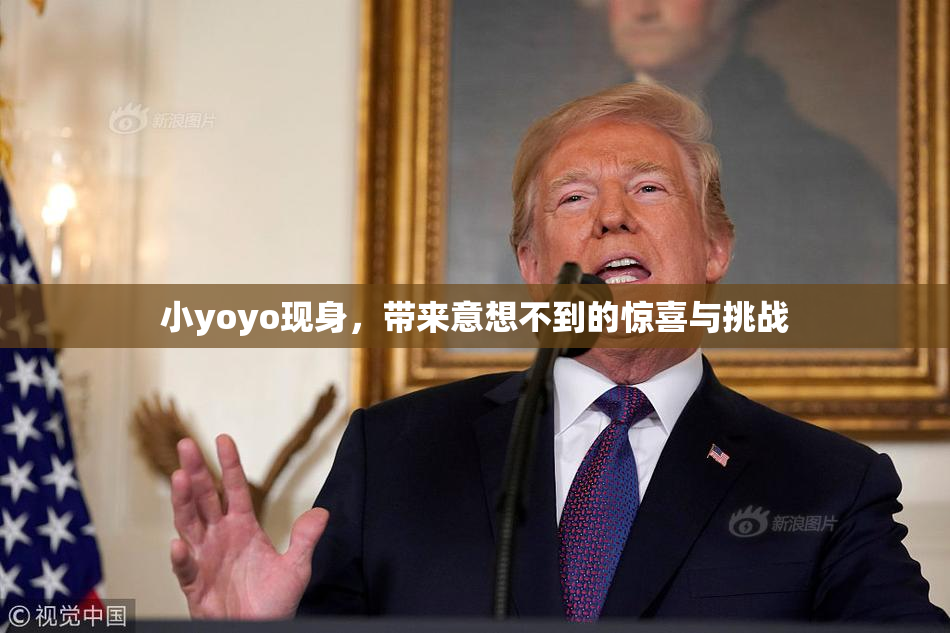 小yoyo现身，带来意想不到的惊喜与挑战