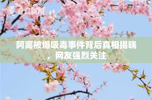 阿离被爆吸毒事件背后真相揭晓，网友强烈关注