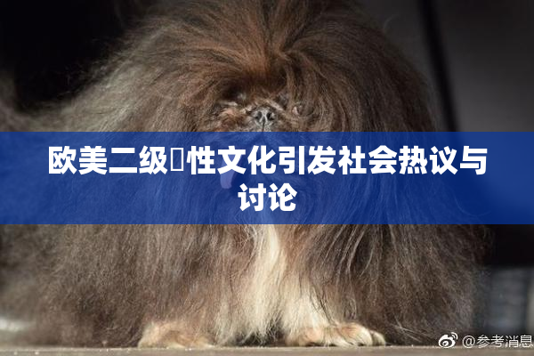 欧美二级婬性文化引发社会热议与讨论