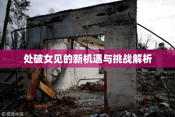处破女见的新机遇与挑战解析