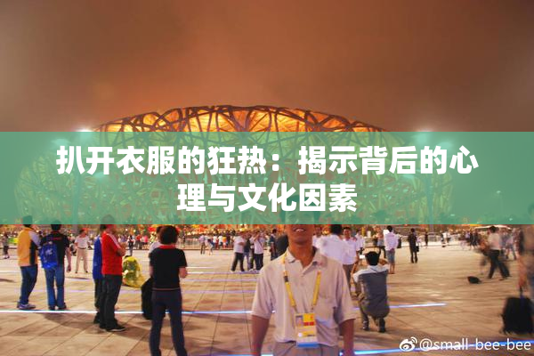 扒开衣服的狂热：揭示背后的心理与文化因素
