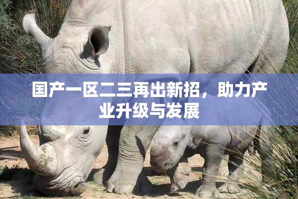 国产一区二三再出新招，助力产业升级与发展