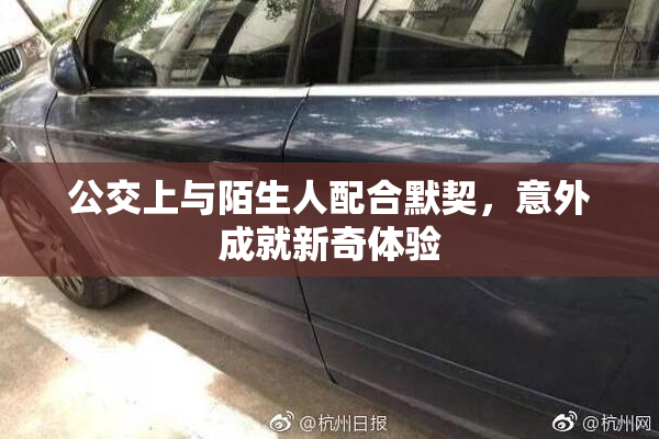 公交上与陌生人配合默契，意外成就新奇体验