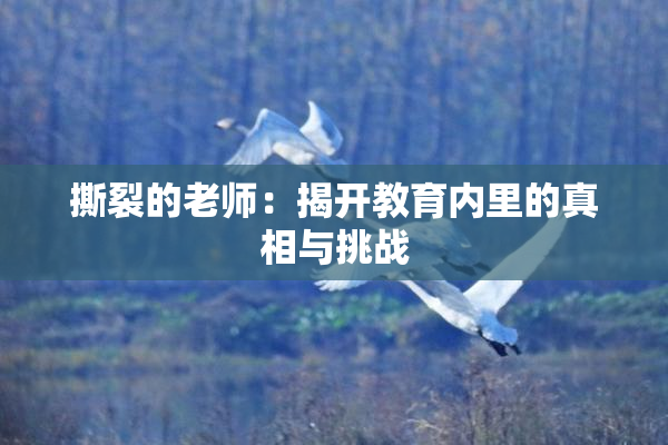 撕裂的老师：揭开教育内里的真相与挑战