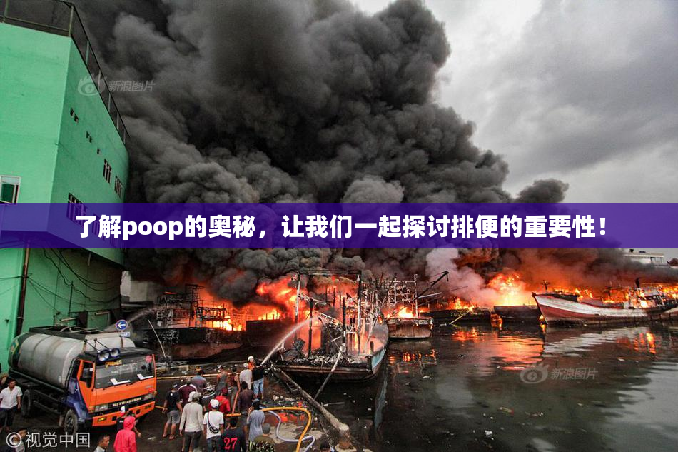 了解poop的奥秘，让我们一起探讨排便的重要性！