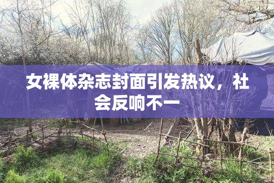 女裸体杂志封面引发热议，社会反响不一