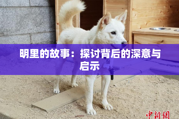 明里的故事：探讨背后的深意与启示