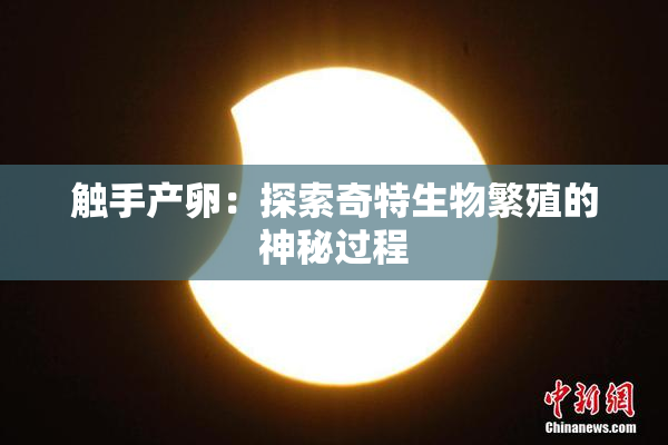 触手产卵：探索奇特生物繁殖的神秘过程