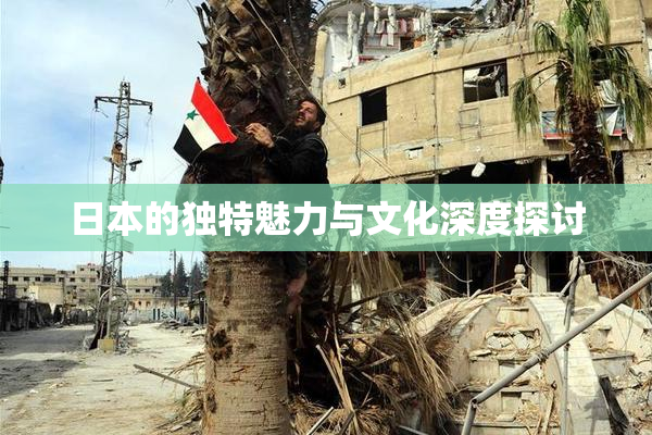 日本的独特魅力与文化深度探讨