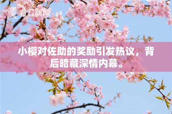 小樱对佐助的奖励引发热议，背后暗藏深情内幕。